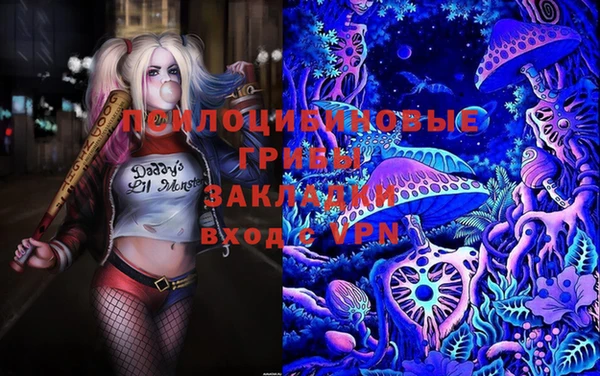 экстази Ельня