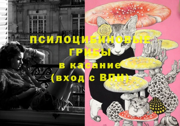 стафф Елабуга